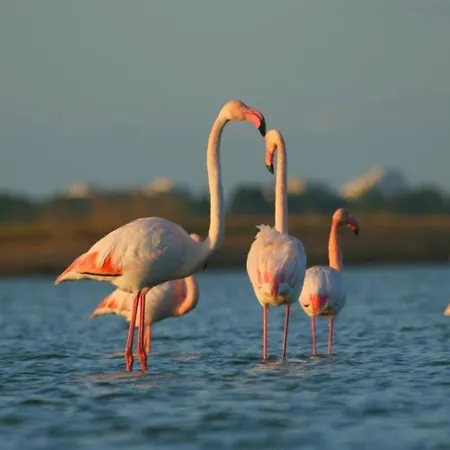 Bed and breakfast Les 1000 Vignes